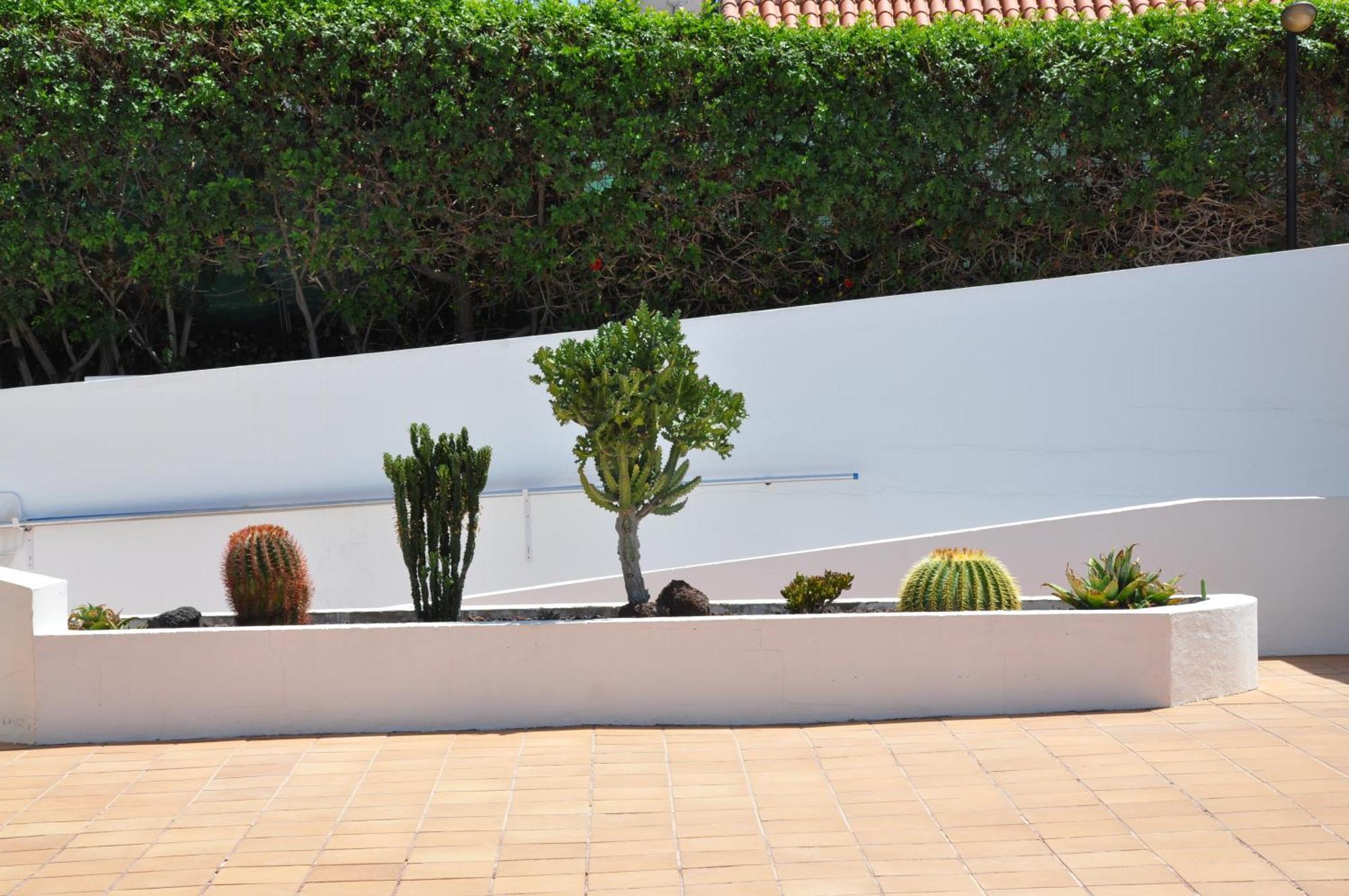 Serenity Garden Maspalomas  Luaran gambar