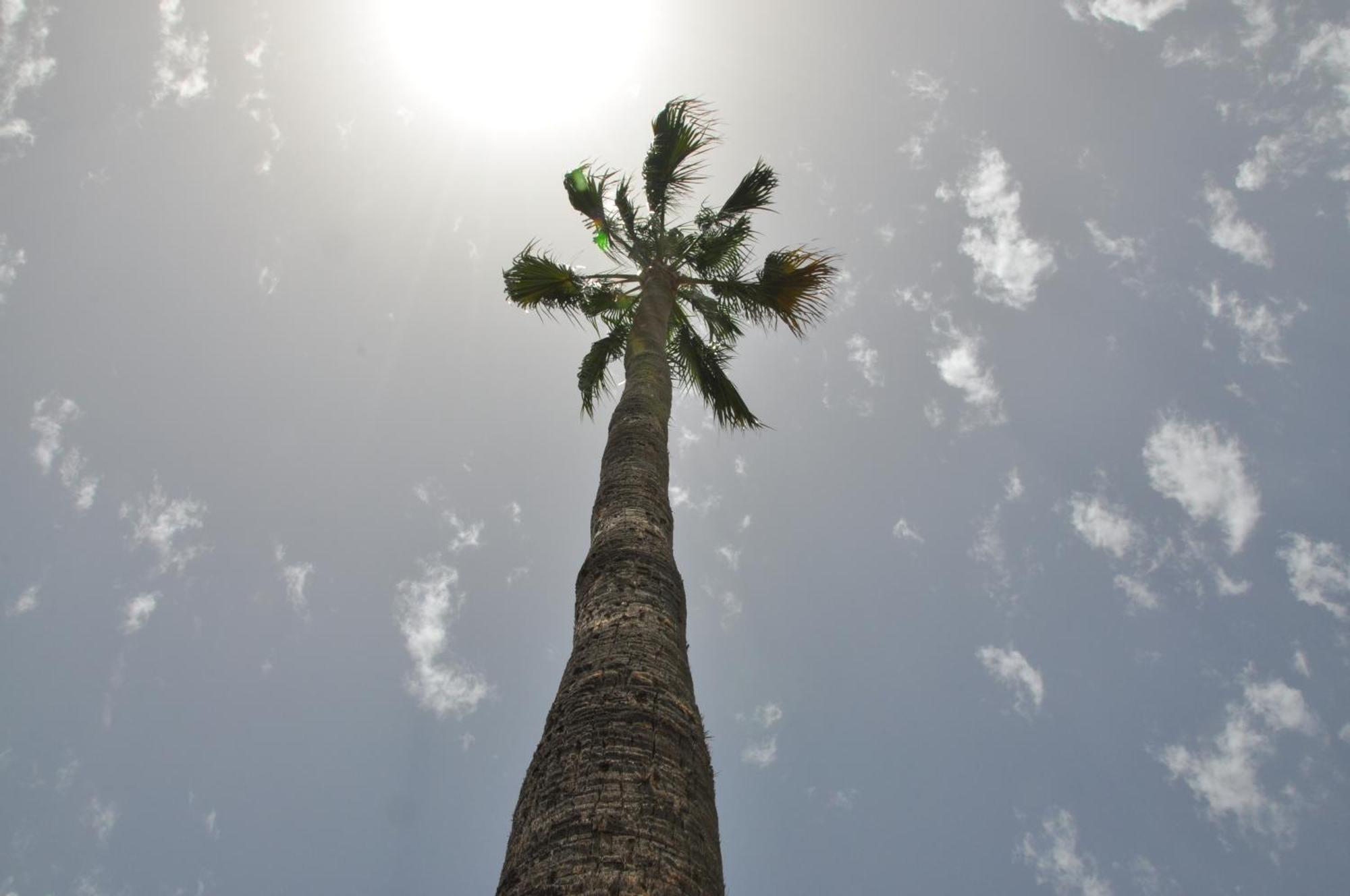 Serenity Garden Maspalomas  Luaran gambar