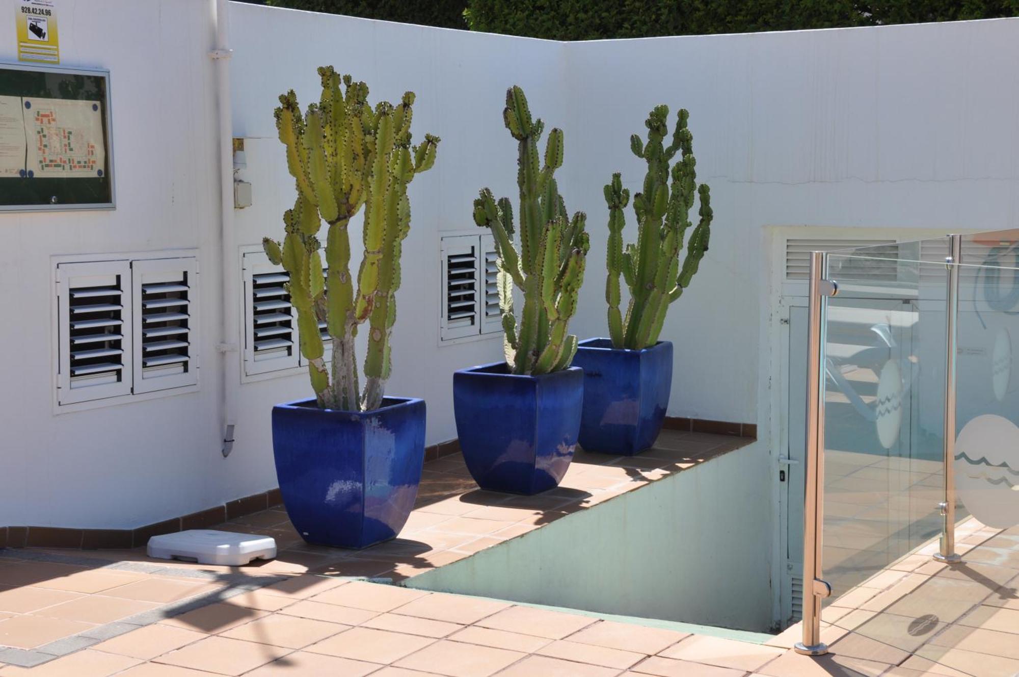 Serenity Garden Maspalomas  Luaran gambar
