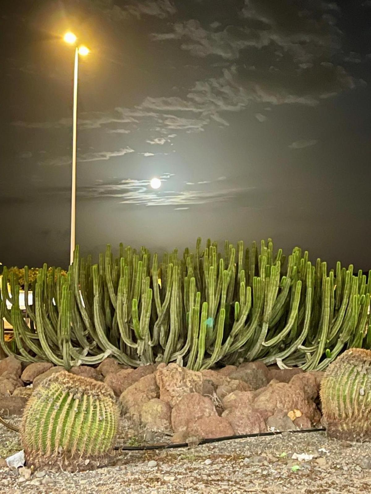 Serenity Garden Maspalomas  Luaran gambar