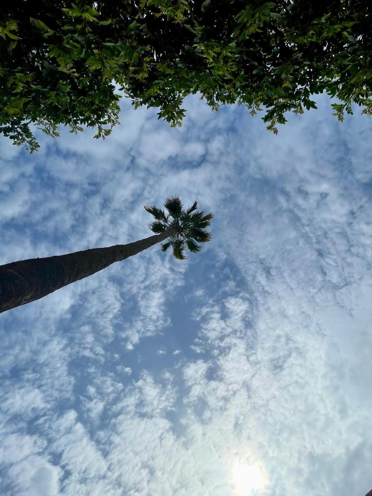 Serenity Garden Maspalomas  Luaran gambar
